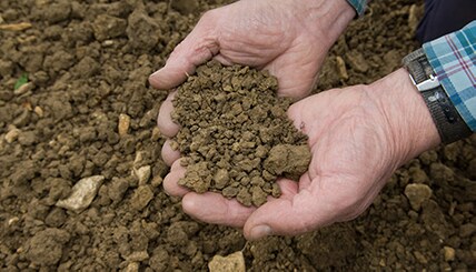 Bayer Carbon Program: A New Revenue Stream for Farmers