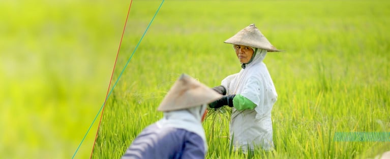 D-Better Life Farming.jpg