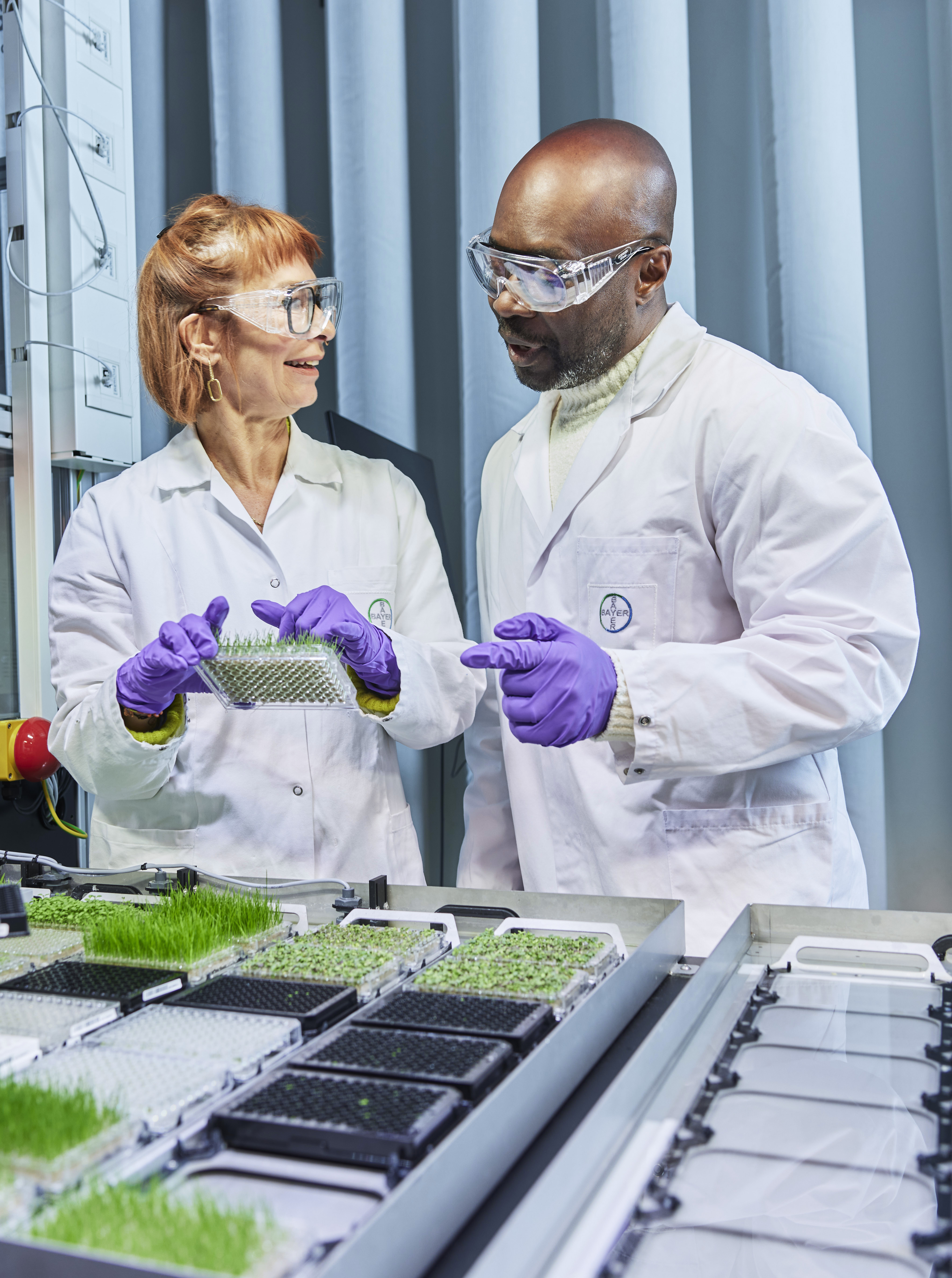 researchers-at-phenotyping-platform-9.jpg