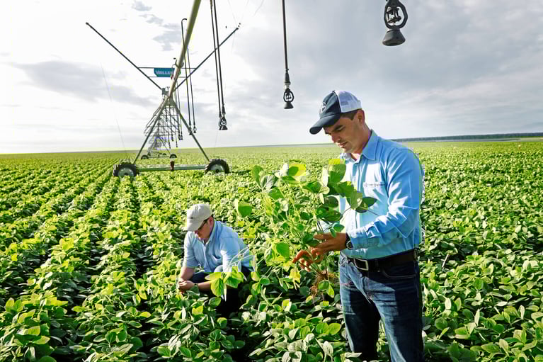 Soybean experts in a field 2 0