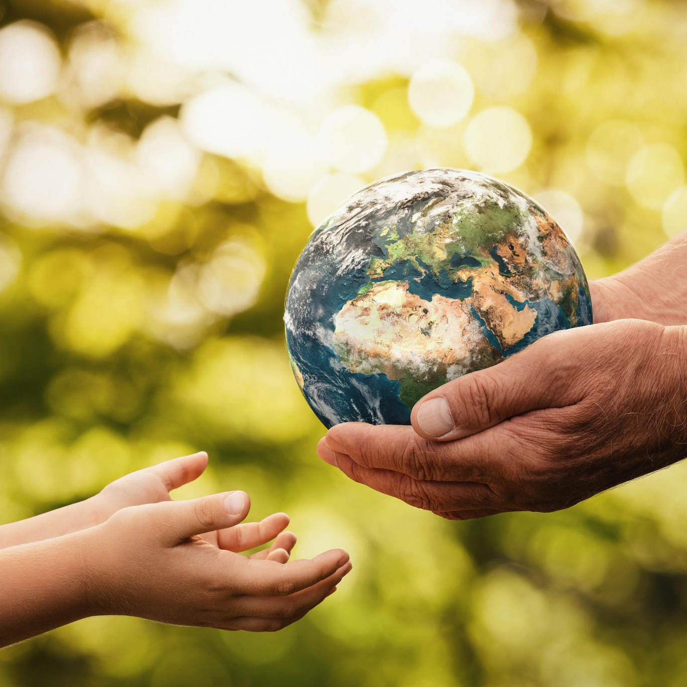 senior hands giving earth to a child
