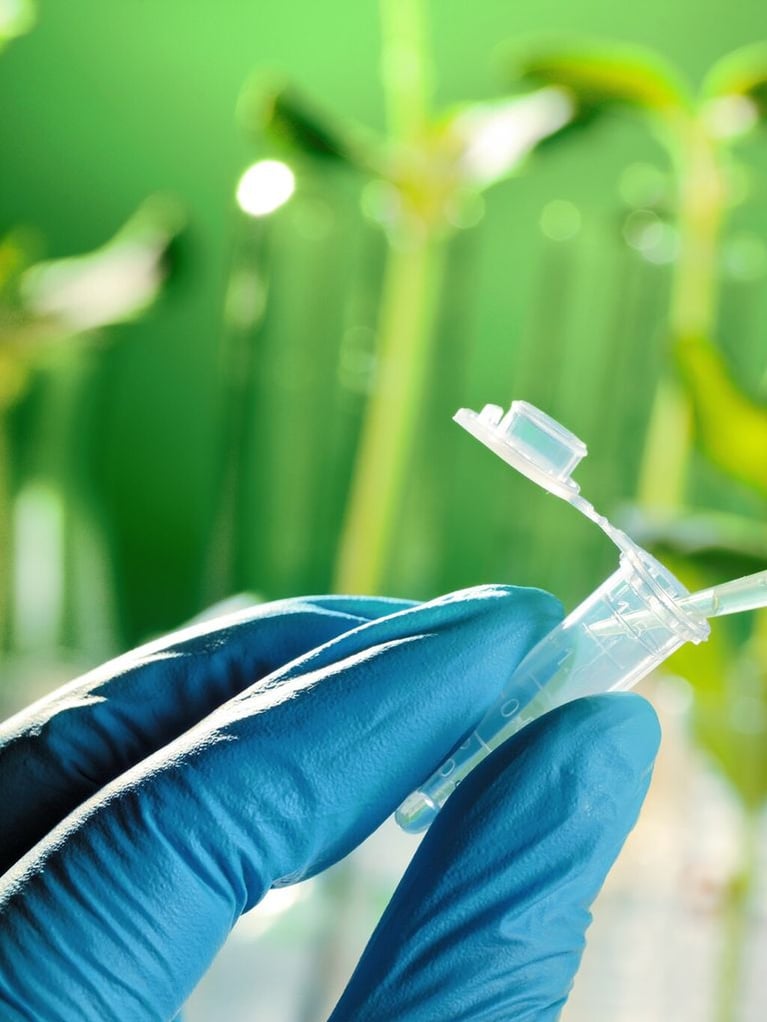 pipetting solution
