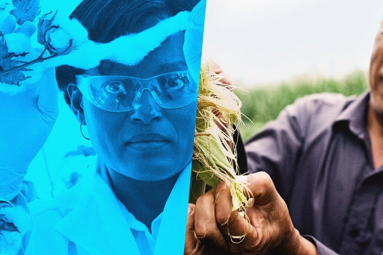 image collage with farmer and crops