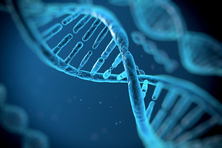 dna structure 11