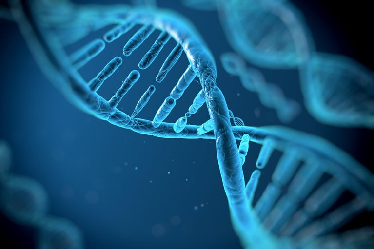 dna structure 11