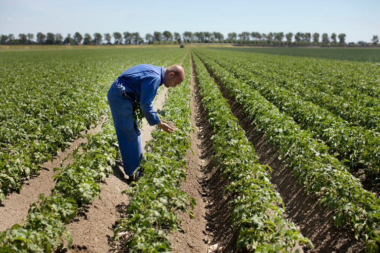 farmer_in_the_field_2.jpg