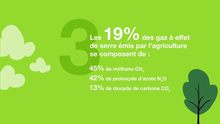 décarbonation-4.jpg
