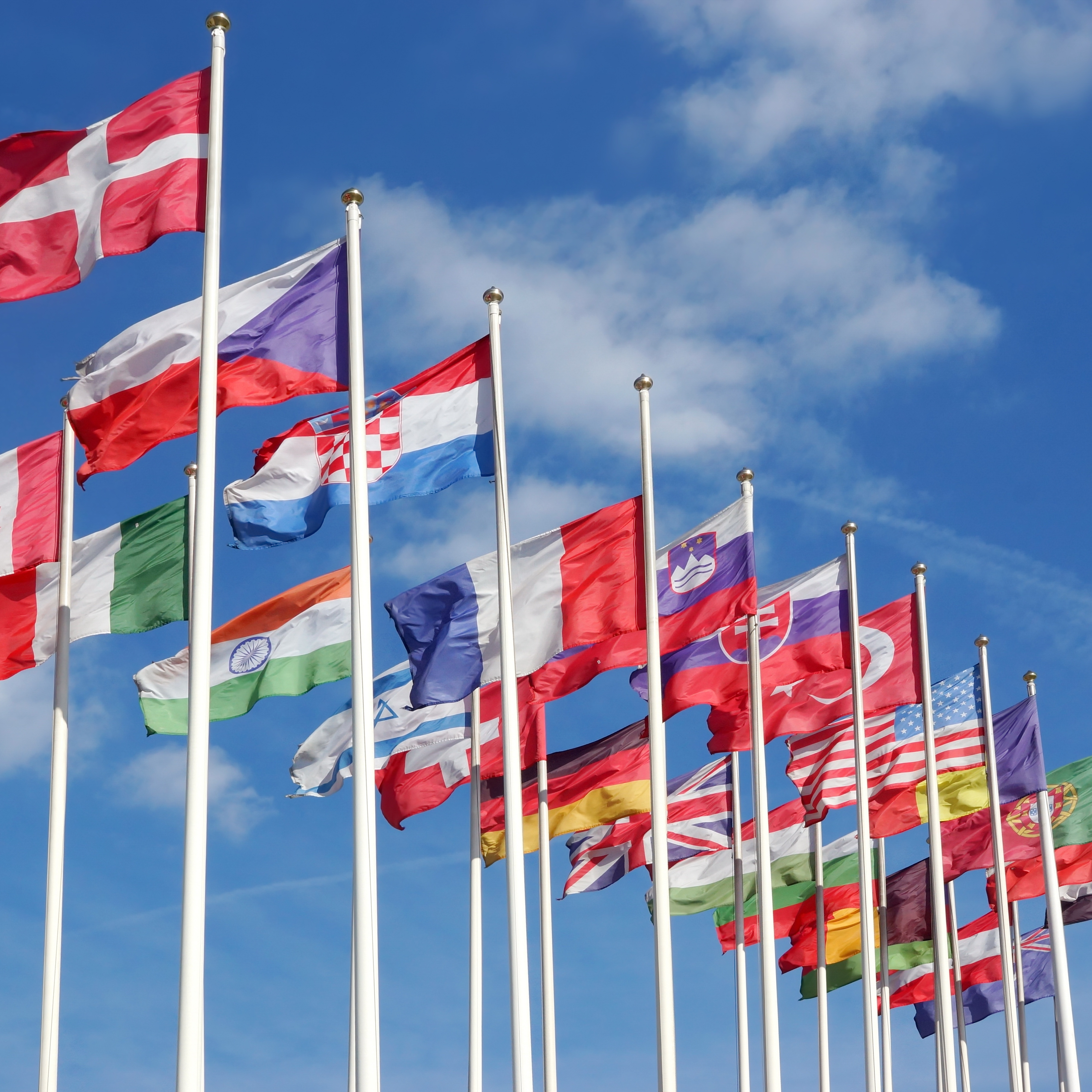 world_flags_blowing_in_the_wind.jpeg