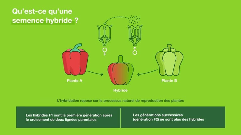 Design sans titre.jpg