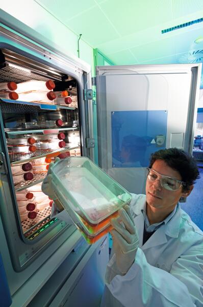 tumor-cultures-an-incubator.jpg