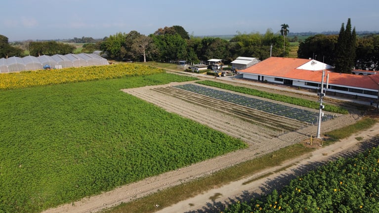 dji-fly-20240124-081856-912-1706102344968-photo-optimized.jpg