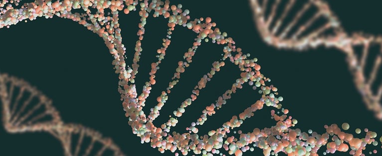 DNA_structure_1440x590.jpg