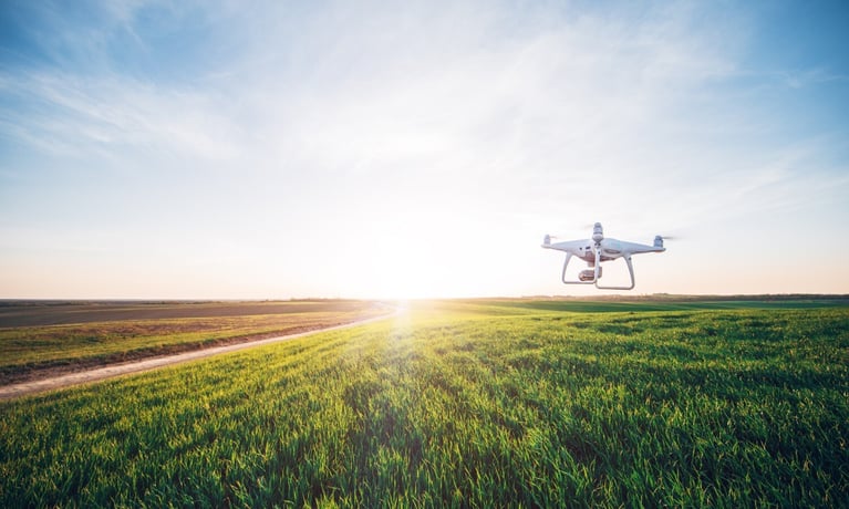 drone-flying-over-green-corn-field-0.jpg