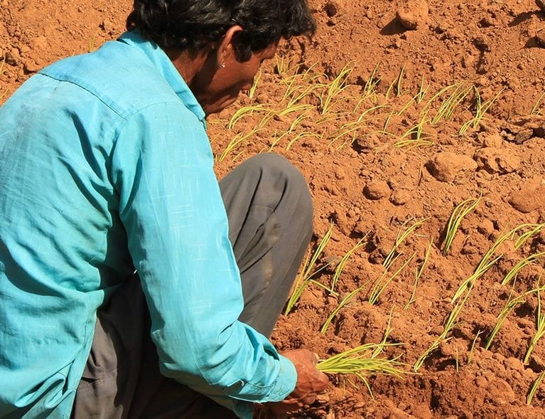 droughts-64251611-1440x590.jpg