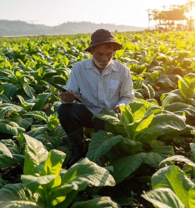 image cs farmer 4 23 1229 820 rgb