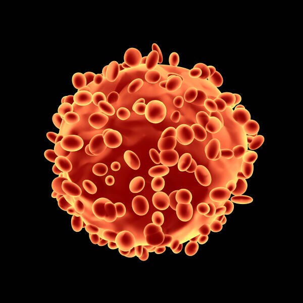 tumor-cells.jpg