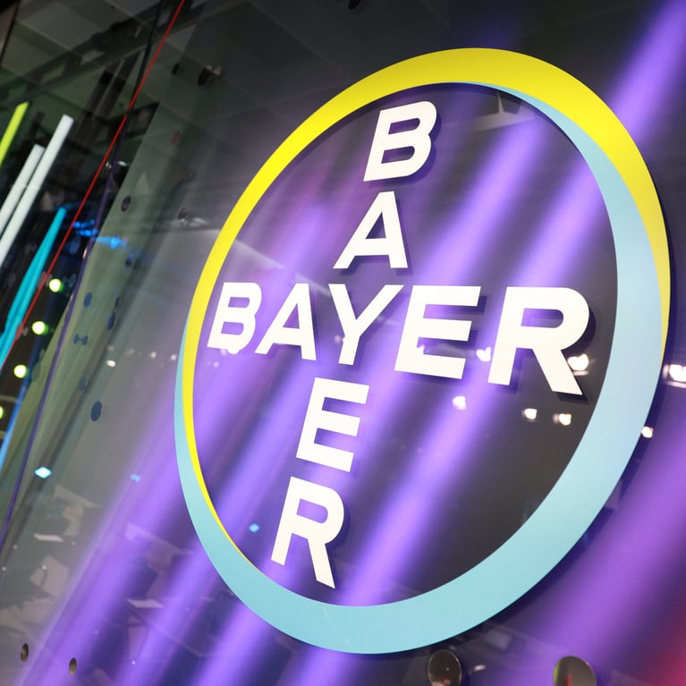 bayer-cross-in-baykomm-4.jpg