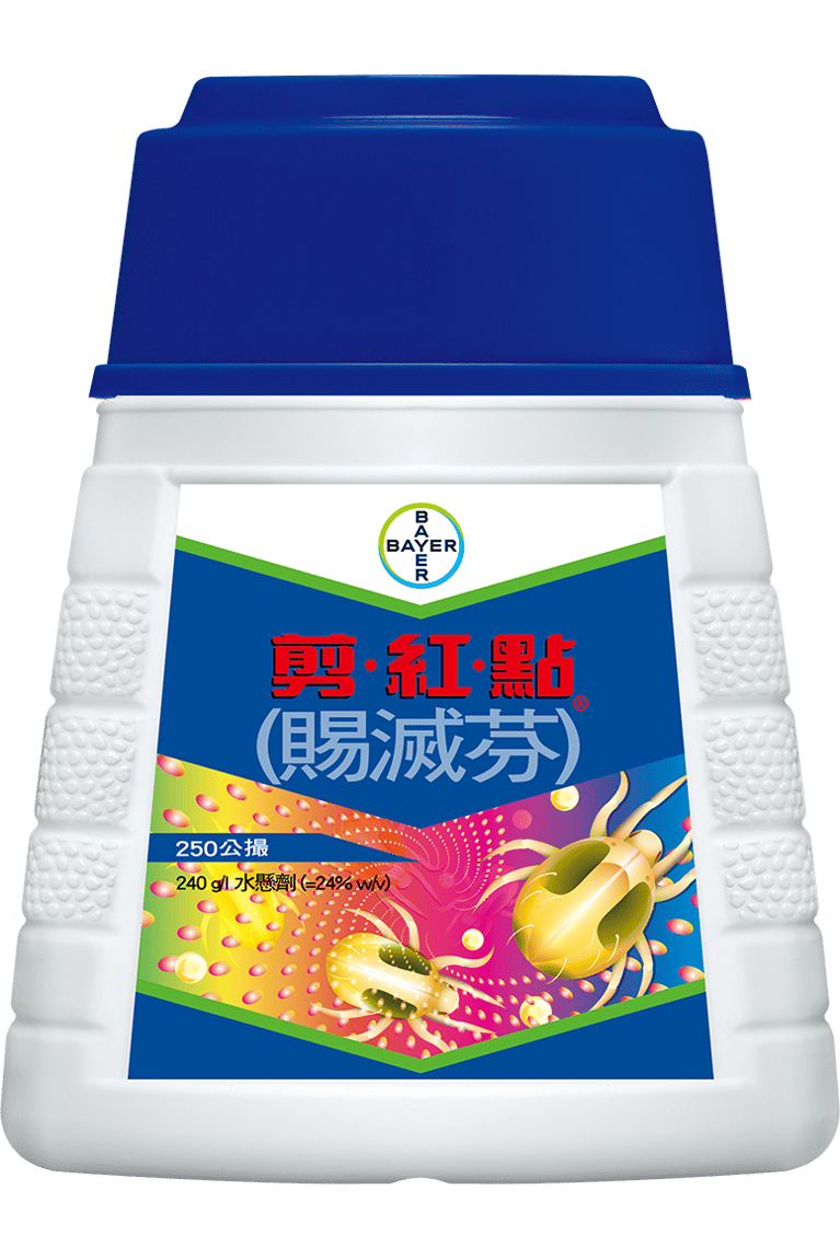 baiershachongjijianhongdianoberon.png
