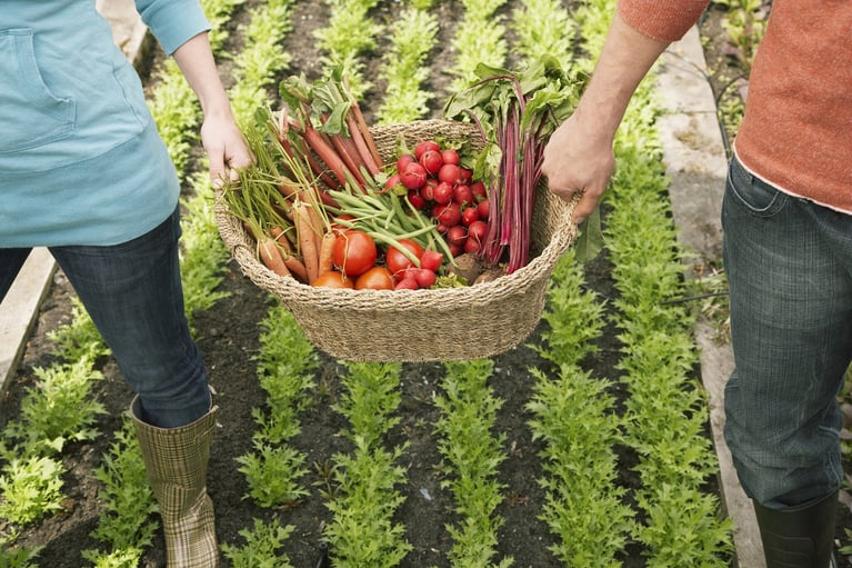 man and woman carrying vegetables