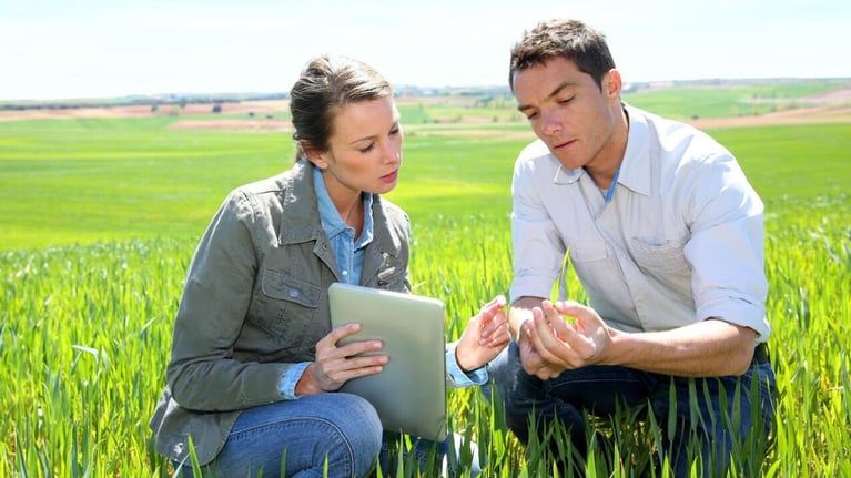 expert-wheat-1280x720.jpg