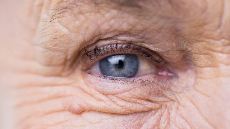 Eye of senior woman