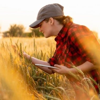 female farmer examining crop