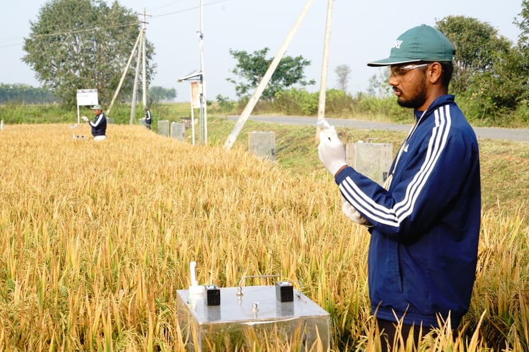 Chamber-based GHG measurement in Karnataka 1.JPG