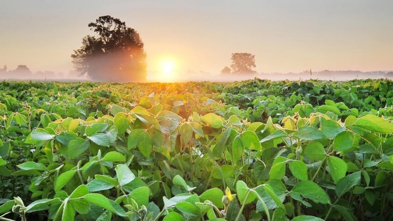 lagriculture