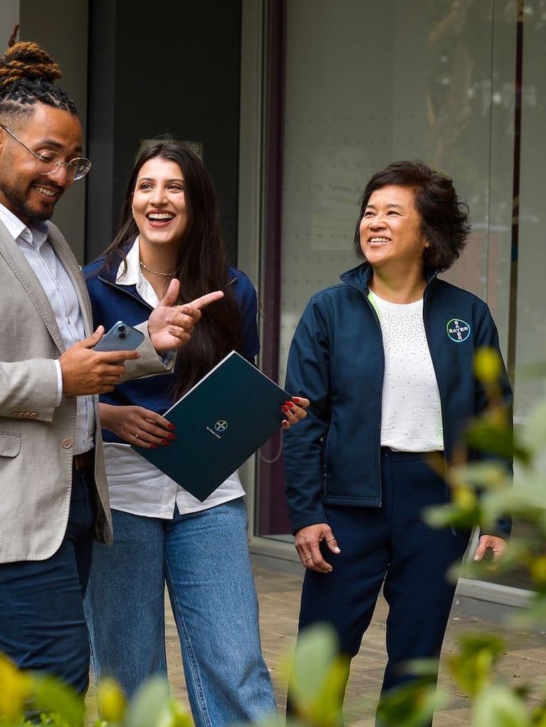 four colleagues stand outdoors in discussion