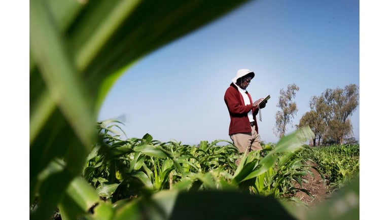 Farm_worker_with_tablet_in_a_field.jpg