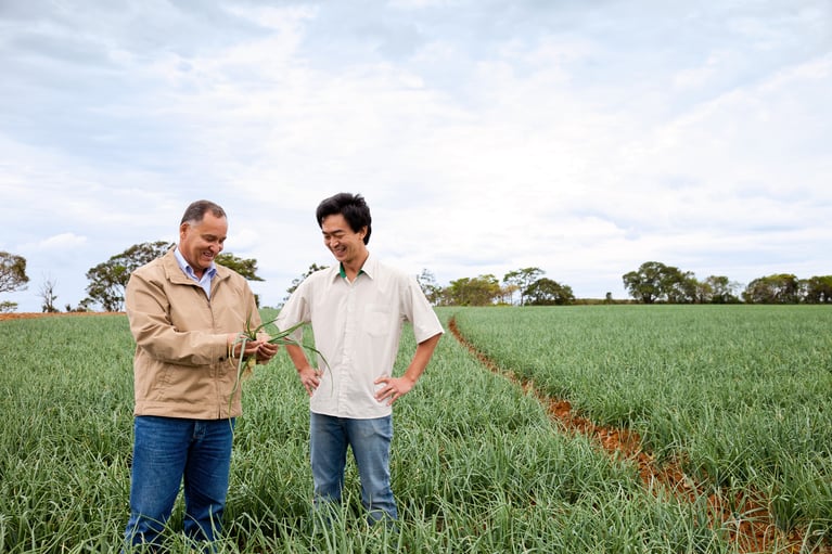 farmer_and_distributor_in_an_onion_field.jpg