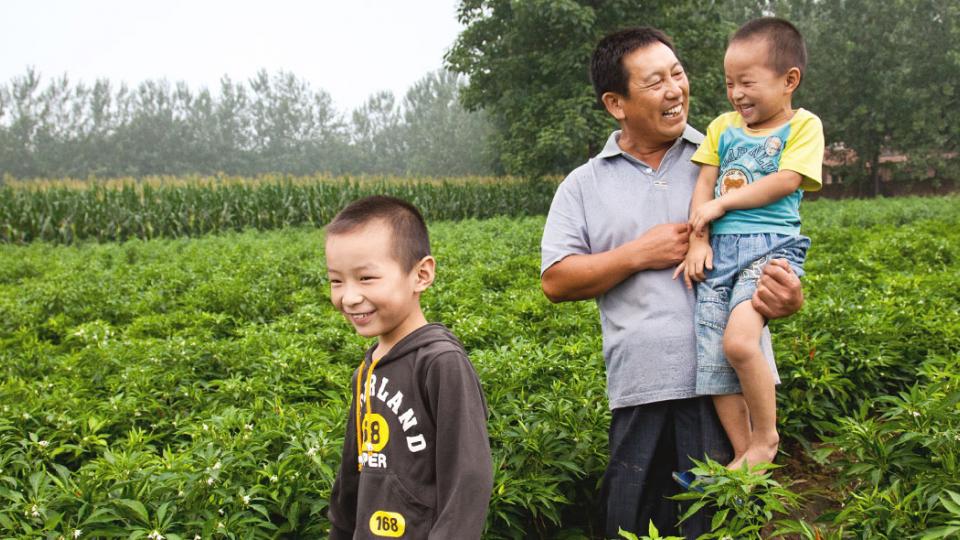 farmer-and-sons-in-a-pepper-field-1440x590.jpg