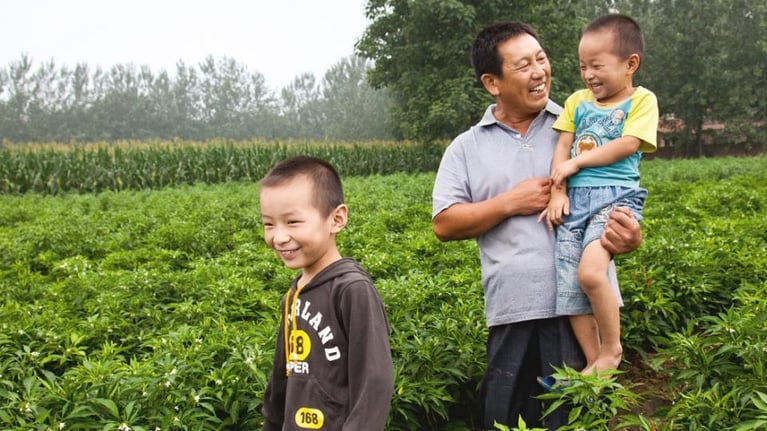 farmer-and-sons-in-a-pepper-field-1440x590.jpg