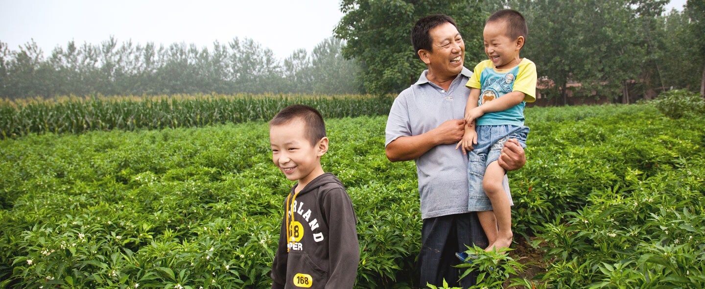 Farmer_and_sons_in_a_pepper_field_1440x590.jpg