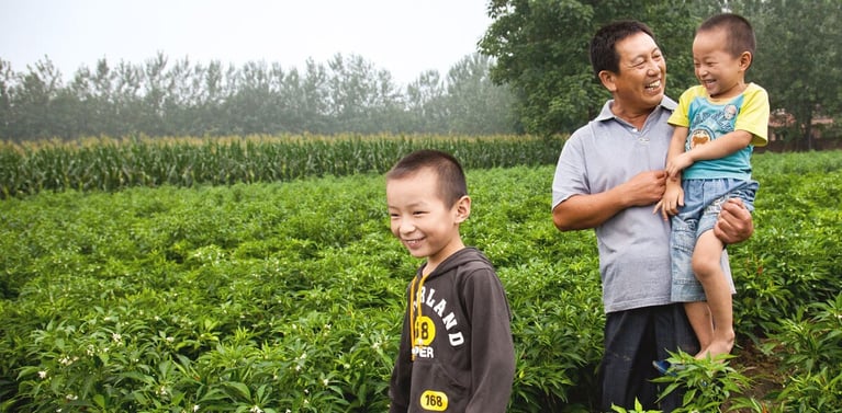 Farmer_and_sons_in_a_pepper_field_1440x590.jpg