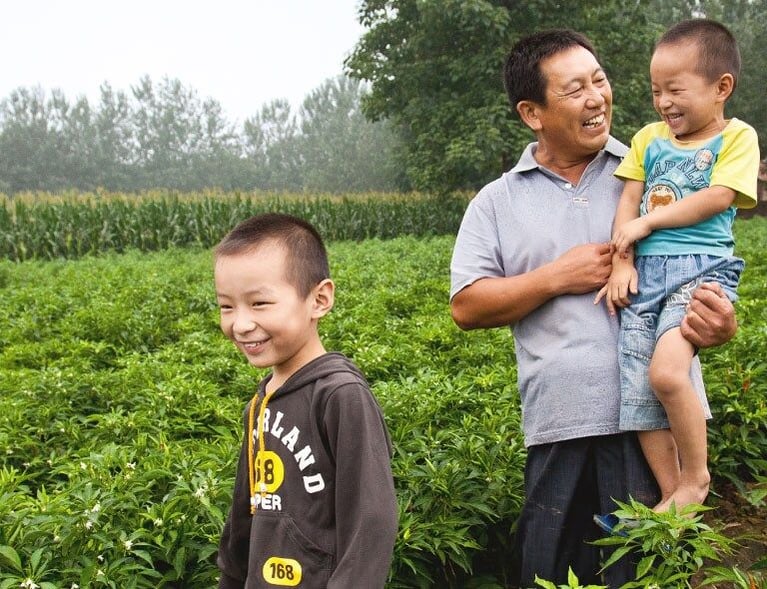 Farmer_and_sons_in_a_pepper_field_1440x590.jpg