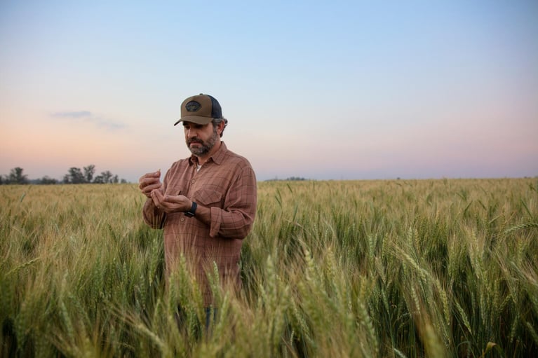 Farmer in Grain Field