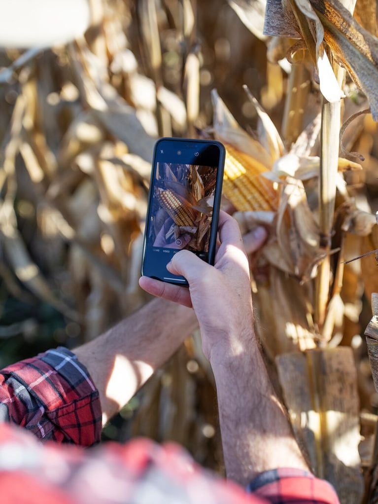 farmer-reviewing-data-in-a-cornfield-1.jpg
