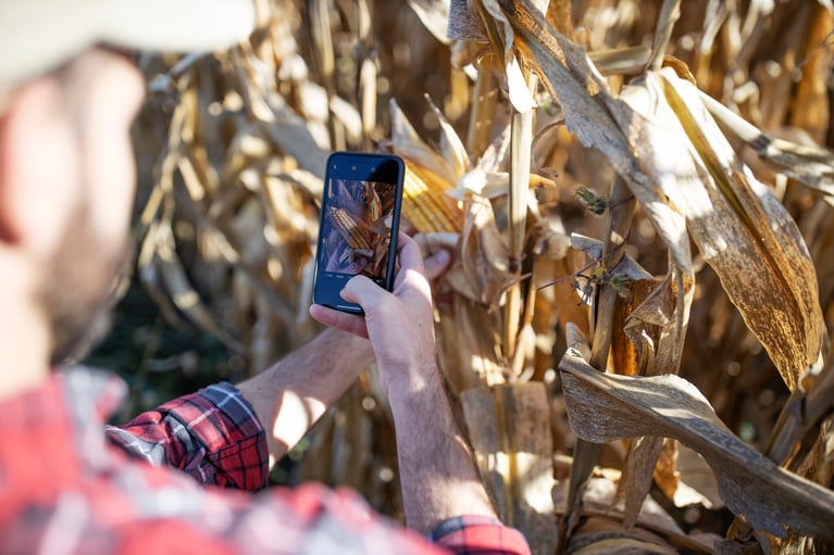 farmer-reviewing-data-in-a-cornfield-1.jpg