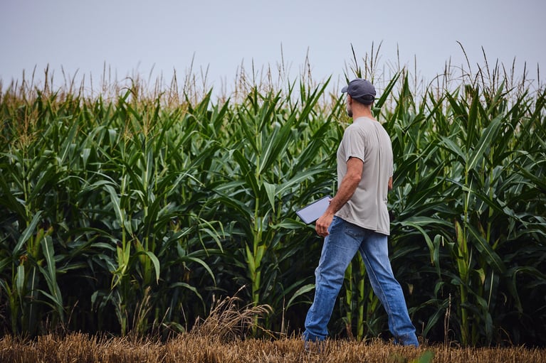 farmer-with-tablet-in-a-cornfield-1.jpg