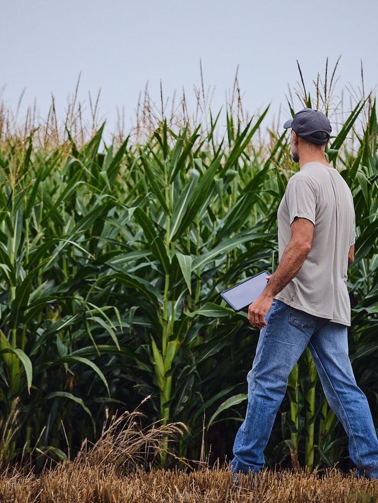 farmer-with-tablet-in-a-cornfield-1.jpg