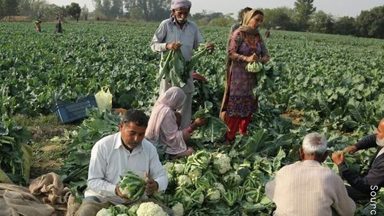 farmers-in-field-16-9.png
