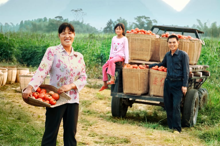farming_family_with_tomato_harvest_1.jpg