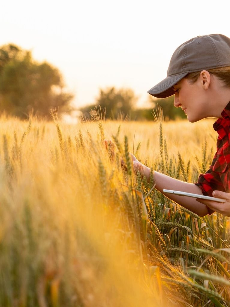 female farmer examining crop