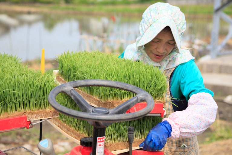 female_farmer_setting_up_rice_planter.jpg