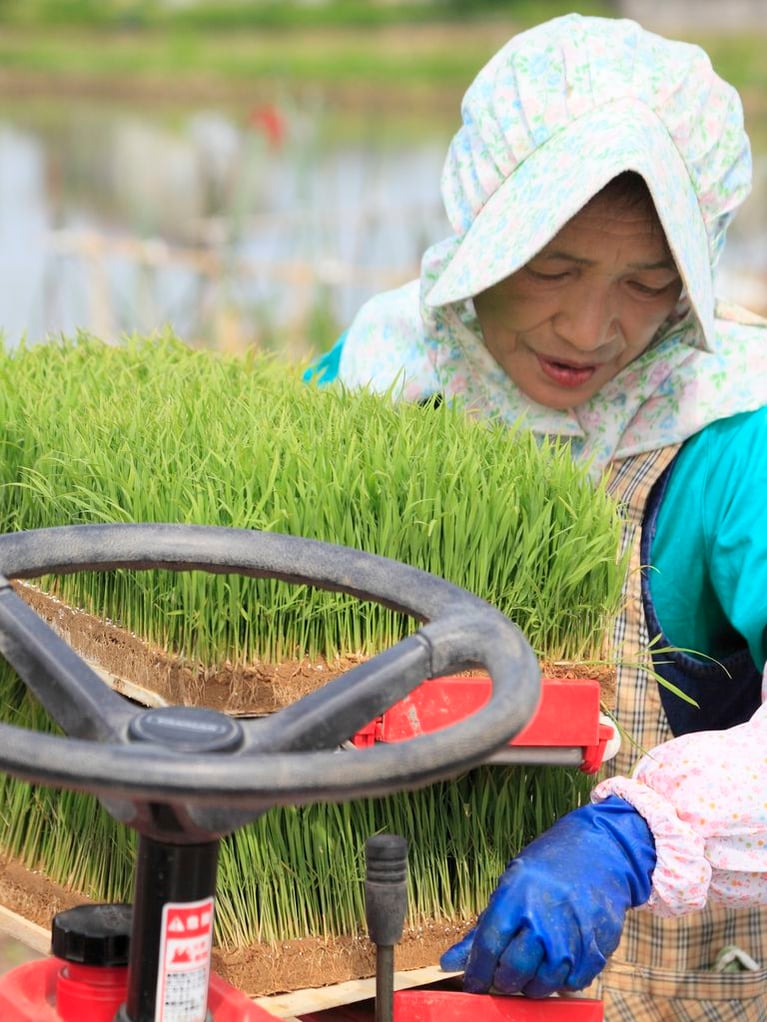 female_farmer_setting_up_rice_planter.jpg