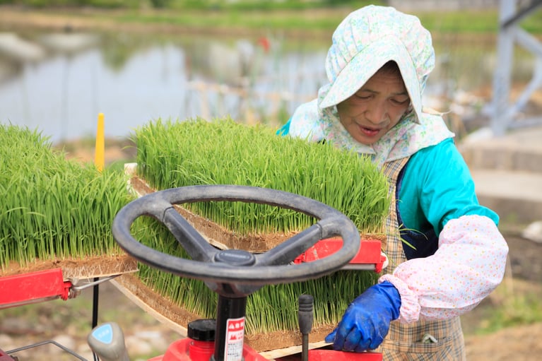 female_farmer_setting_up_rice_planter.jpg