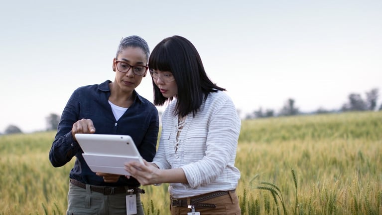 researchers with tablet pc grain field