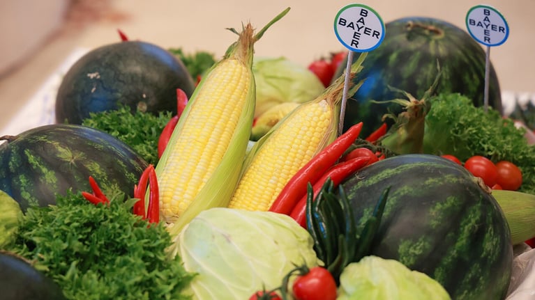 first-accredited-seed-img3.jpg