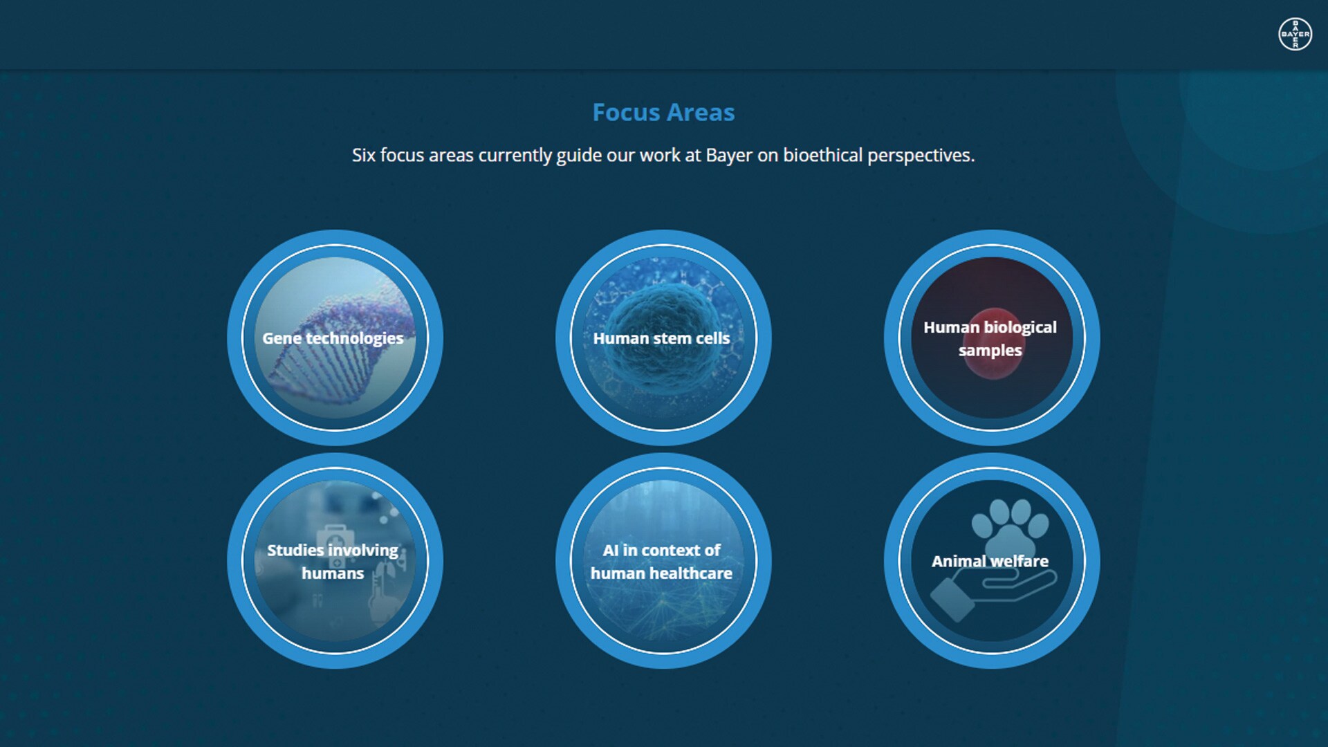 focus-areas-thumb-0.jpg